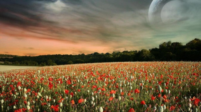 为什么全国人民都知道武汉的交通很差，但是武汉人不知道？